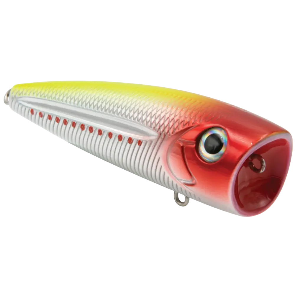 Walk N Pop 77 Topwater Popper | Color: Midnight Beauty Shad Black Back Chrome Tennessee Bluetreuse Pure Bone Silver