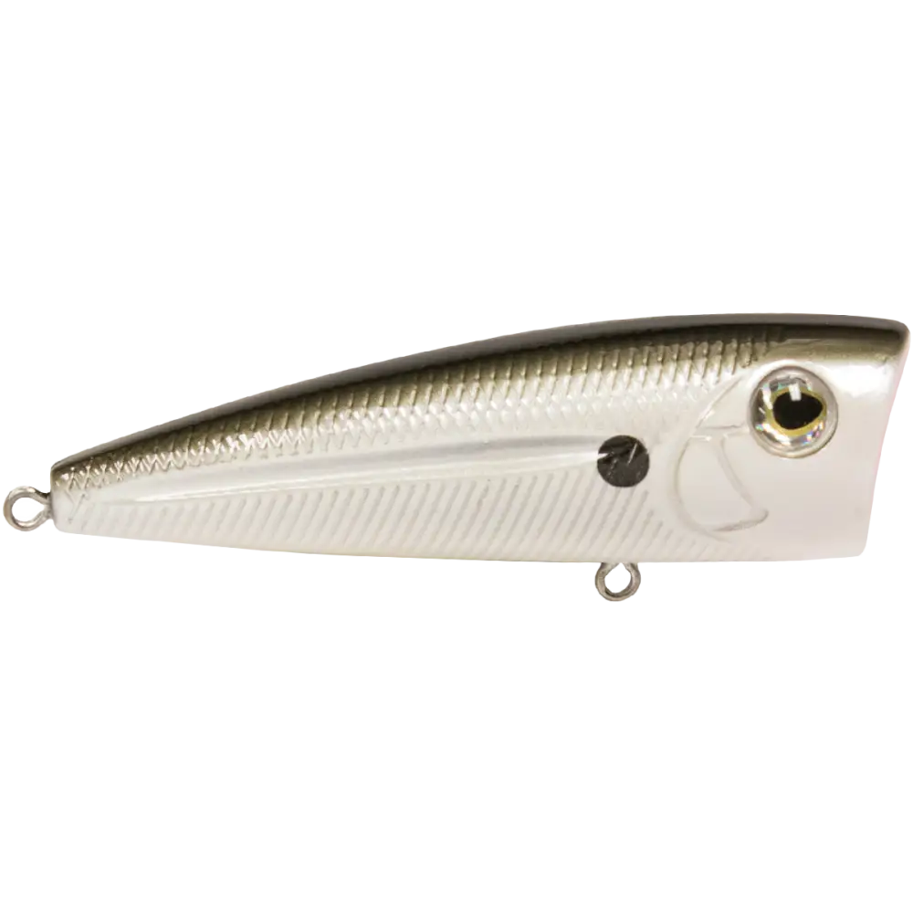 Walk N Pop 77 Topwater Popper | Color: Midnight Beauty Shad Black Back Chrome Tennessee Bluetreuse Pure Bone Silver