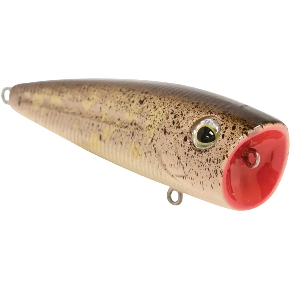 Walk N Pop 77 Topwater Popper | Color: Midnight Beauty Shad Black Back Chrome Tennessee Bluetreuse Pure Bone Silver