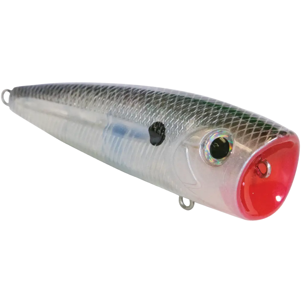 Walk N Pop 77 Topwater Popper | Color: Midnight Beauty Shad Black Back Chrome Tennessee Bluetreuse Pure Bone Silver
