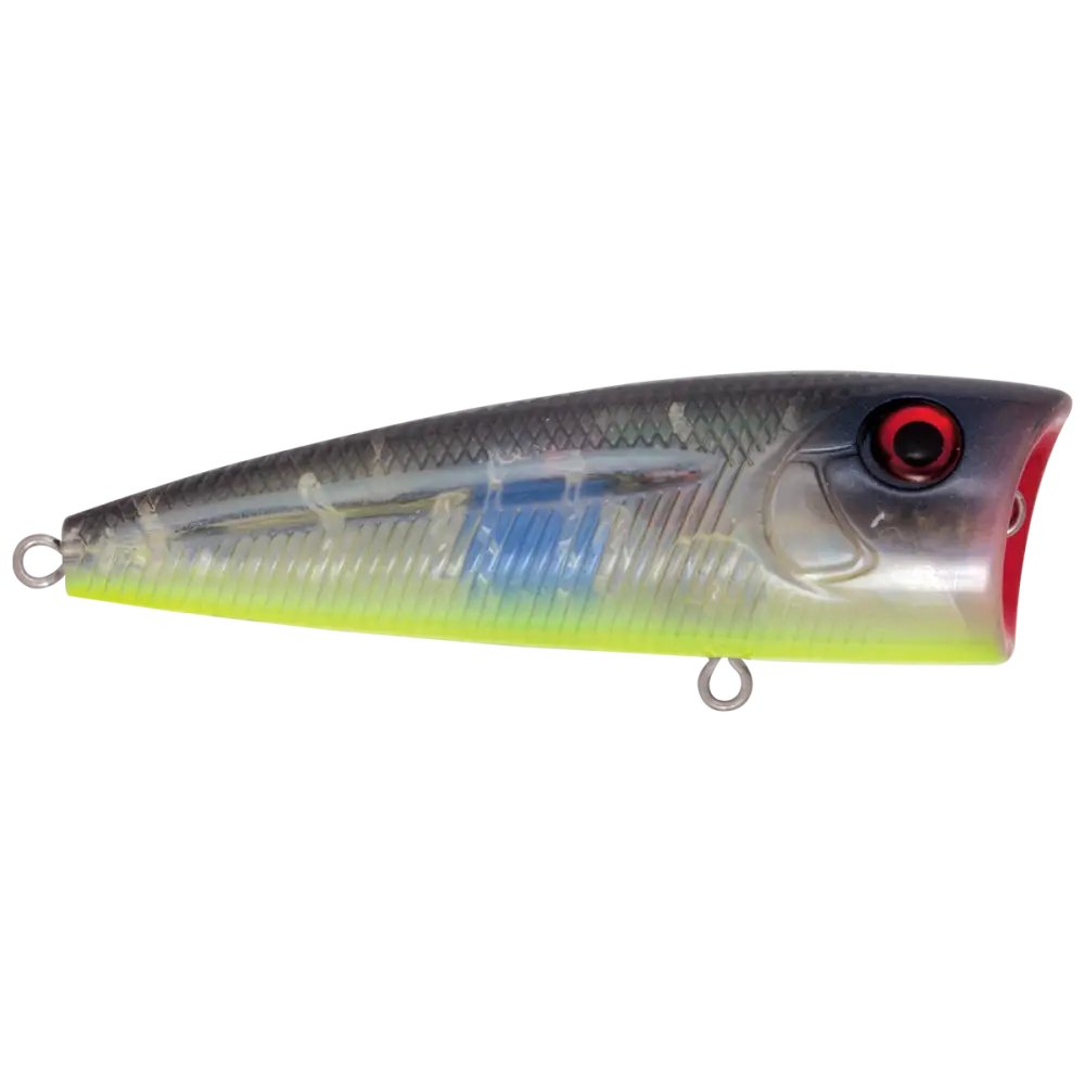 Walk N Pop 77 Topwater Popper | Color: Midnight Beauty Shad Black Back Chrome Tennessee Bluetreuse Pure Bone Silver