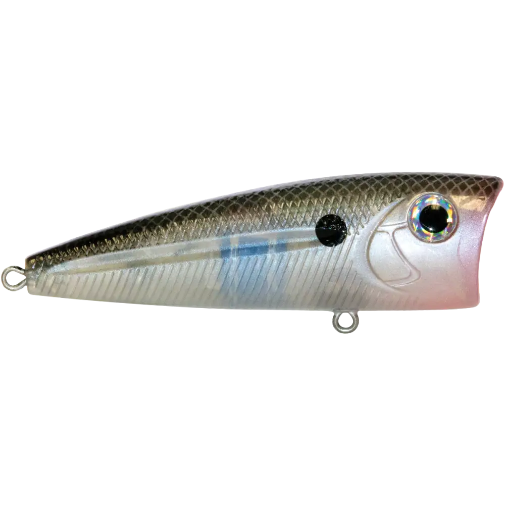 Walk N Pop 77 Topwater Popper | Color: Midnight Beauty Shad Black Back Chrome Tennessee Bluetreuse Pure Bone Silver