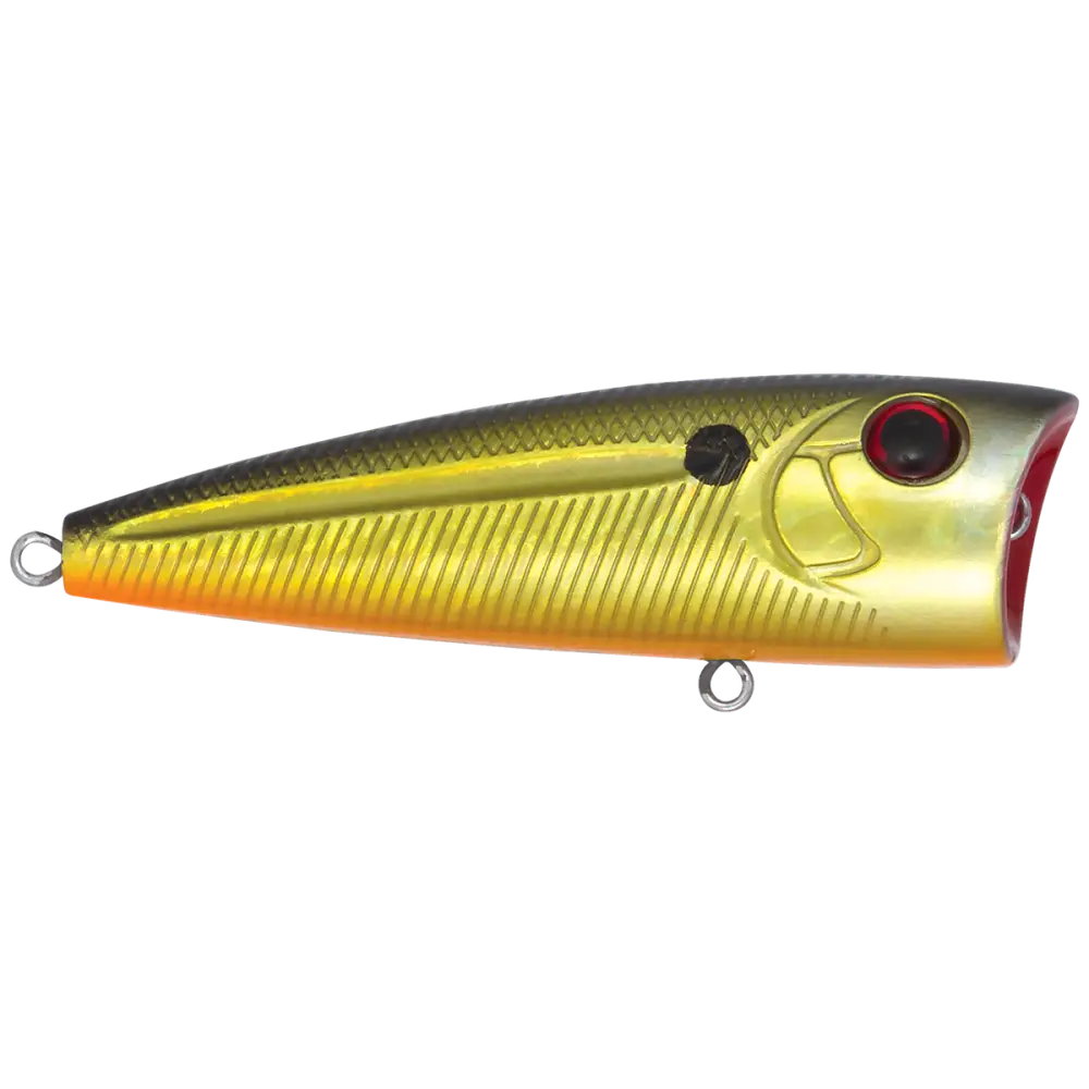 Walk N Pop 77 Topwater Popper | Color: Midnight Beauty Shad Black Back Chrome Tennessee Bluetreuse Pure Bone Silver