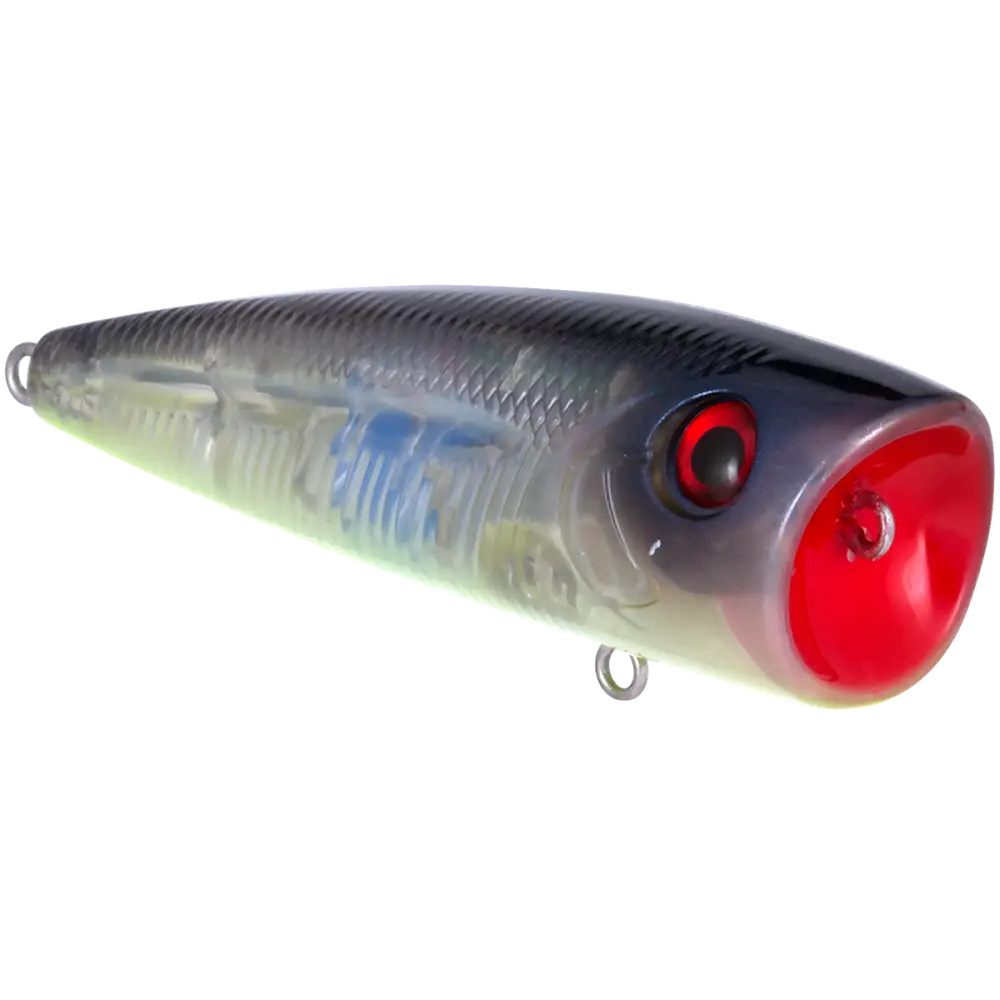 Walk N Pop 77 Topwater Popper | Color: Midnight Beauty Shad Black Back Chrome Tennessee Bluetreuse Pure Bone Silver
