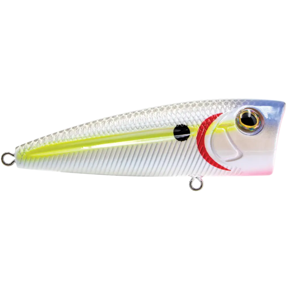 Walk N Pop 77 Topwater Popper | Color: Midnight Beauty Shad Black Back Chrome Tennessee Bluetreuse Pure Bone Silver