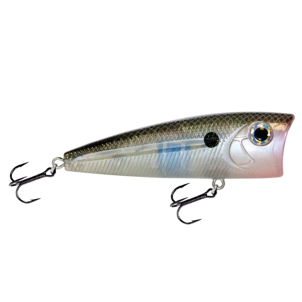Walk N Pop 77 Topwater Popper | Color: Midnight Beauty Shad Black Back Chrome Tennessee Bluetreuse Pure Bone Silver