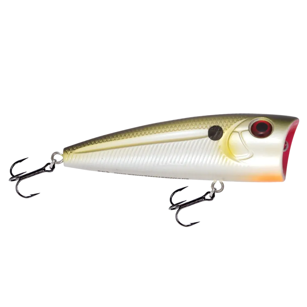 Walk N Pop 77 Topwater Popper | Color: Midnight Beauty Shad Black Back Chrome Tennessee Bluetreuse Pure Bone Silver