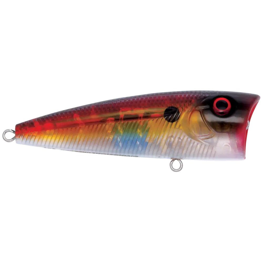 Walk N Pop 77 Topwater Popper | Color: Midnight Beauty Shad Black Back Chrome Tennessee Bluetreuse Pure Bone Silver
