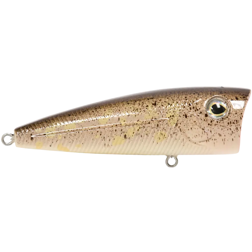 Walk N Pop 77 Topwater Popper | Color: Midnight Beauty Shad Black Back Chrome Tennessee Bluetreuse Pure Bone Silver