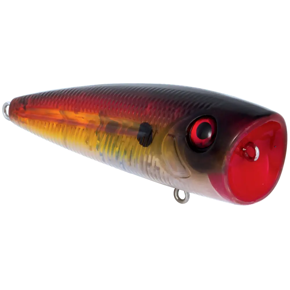 Walk N Pop 77 Topwater Popper | Color: Midnight Beauty Shad Black Back Chrome Tennessee Bluetreuse Pure Bone Silver