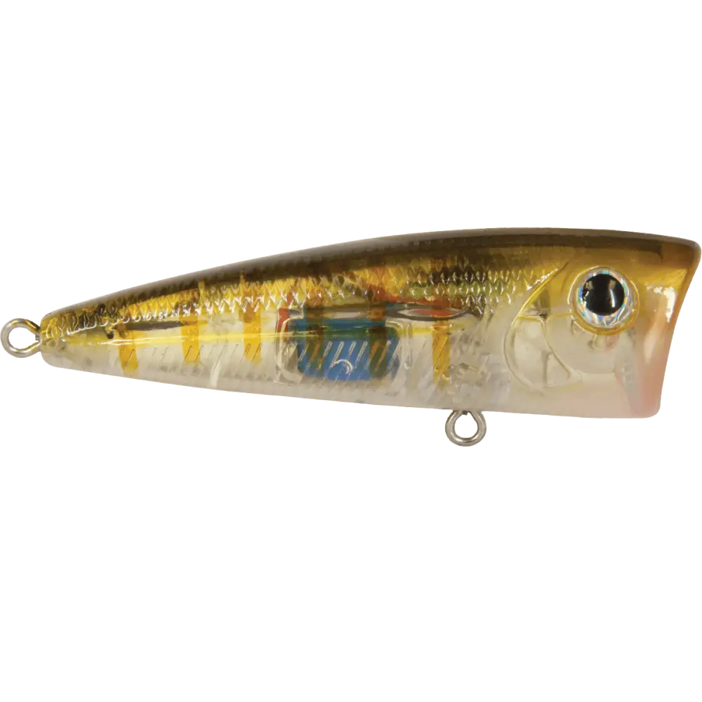 Walk N Pop 77 Topwater Popper for Bass – EBS Sound Technology | Color: Black Back Chrome Shad Beauty Bluetreuse True