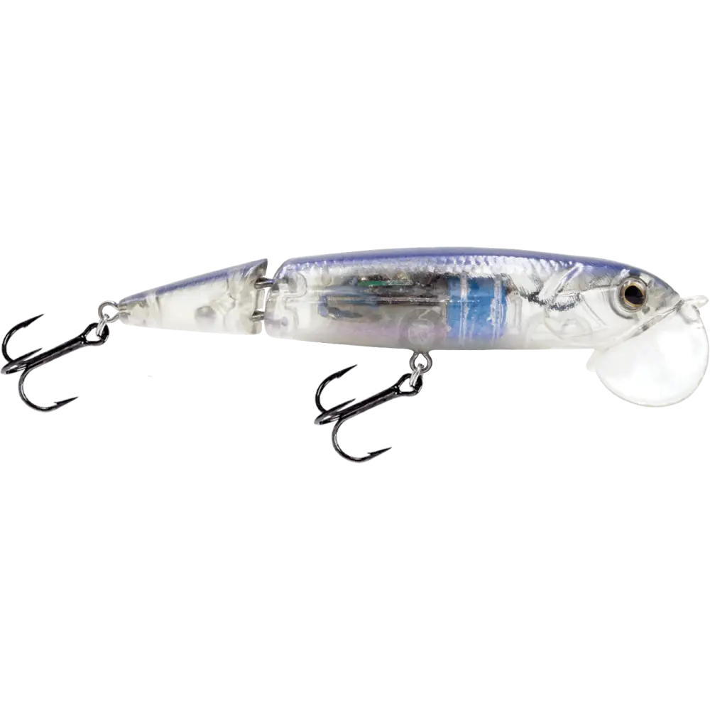Walking Boss II Jr. 4’’ Jointed Topwater Lure – EBS Sound Technology | Color: Chartreuse Blue Shiner Black Back Chrome