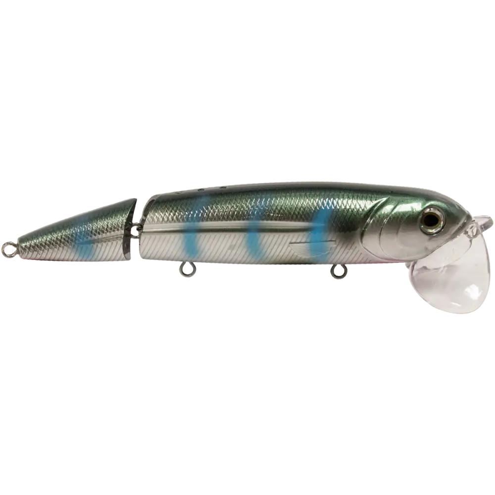 Walking Boss II Magnum 8’’ Topwater for Musky & Pike – EBS Sound Technology | Color Sound: Blue Pearl / Shad Ghost