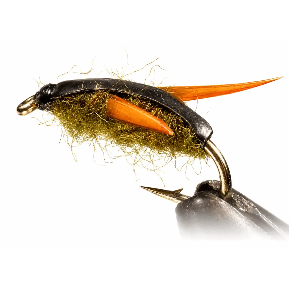Water Boatman | Size: 08 10 12 14 | Package: 3 Pack Dozen - Artificial Fishing Flies
